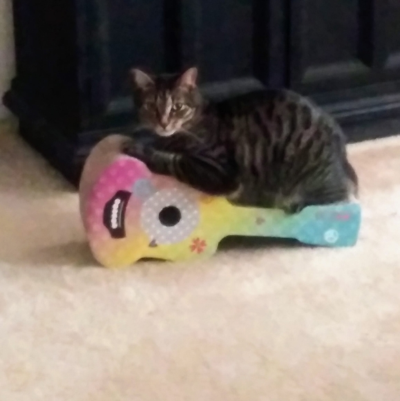 Meet your Posher, Beth - Picture 1 of 1